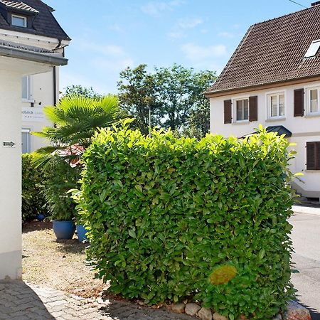 Bluehome Ferienwohnung Бад-Беллинген Экстерьер фото